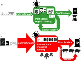 Lien vers: https://addi.ehu.es/bitstream/handle/10810/63708/JA-2171.pdf?sequence=1&isAllowed=y